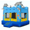 Fish Themed Bounce House