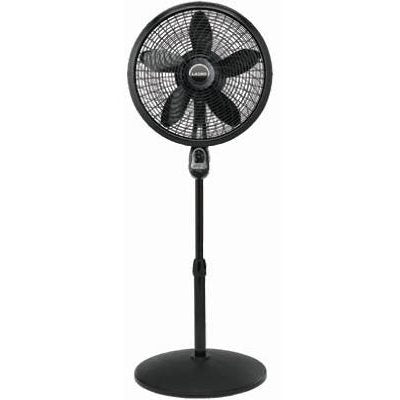 Fans, 36 Pedestal